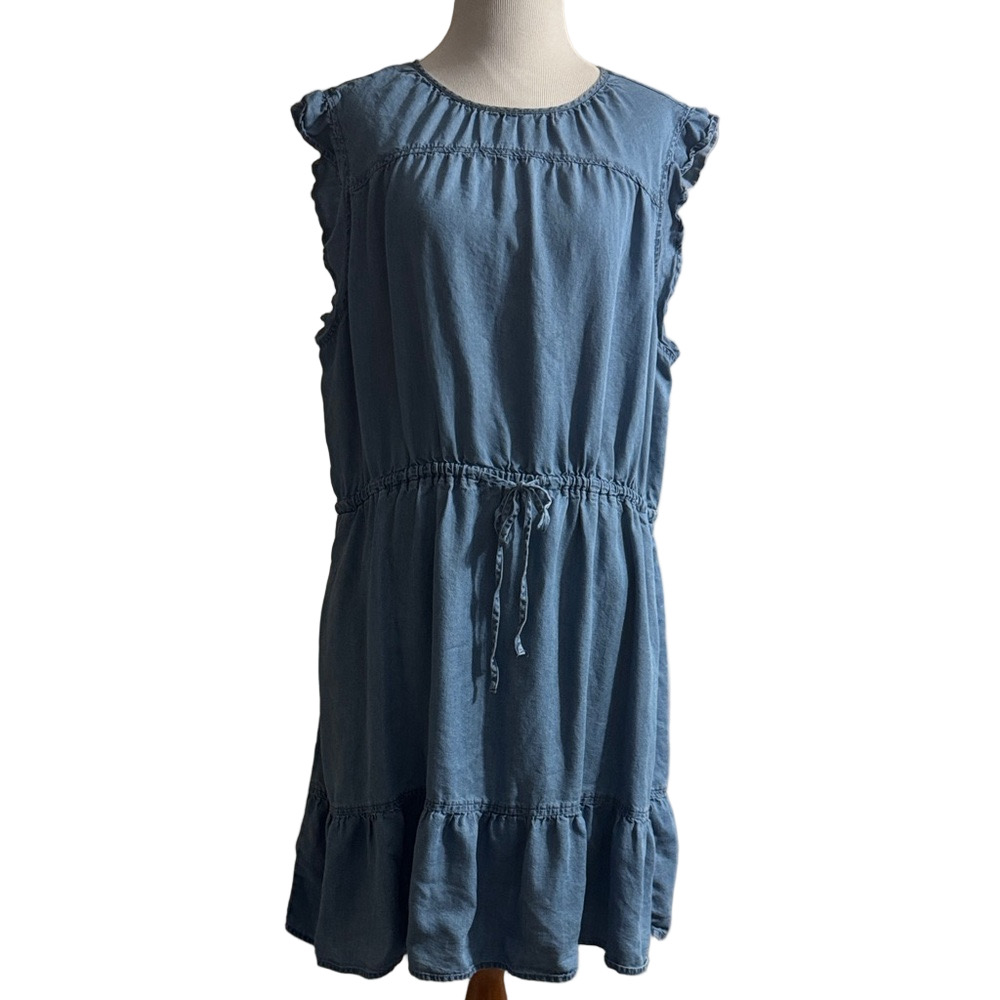 Time and Tru Denim Blue Ruffle Dress With pockets - Picture 3 of 12